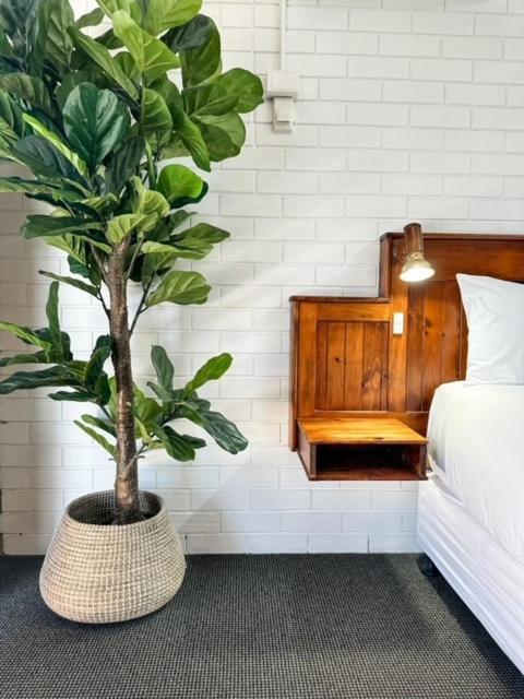 Pacific Sun Bargaraモーテル エクステリア 写真